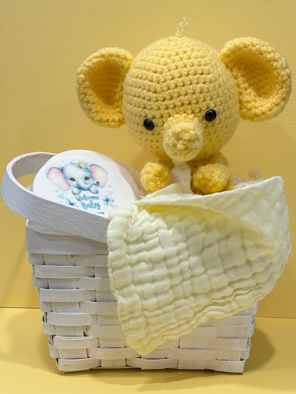 Baby Basket