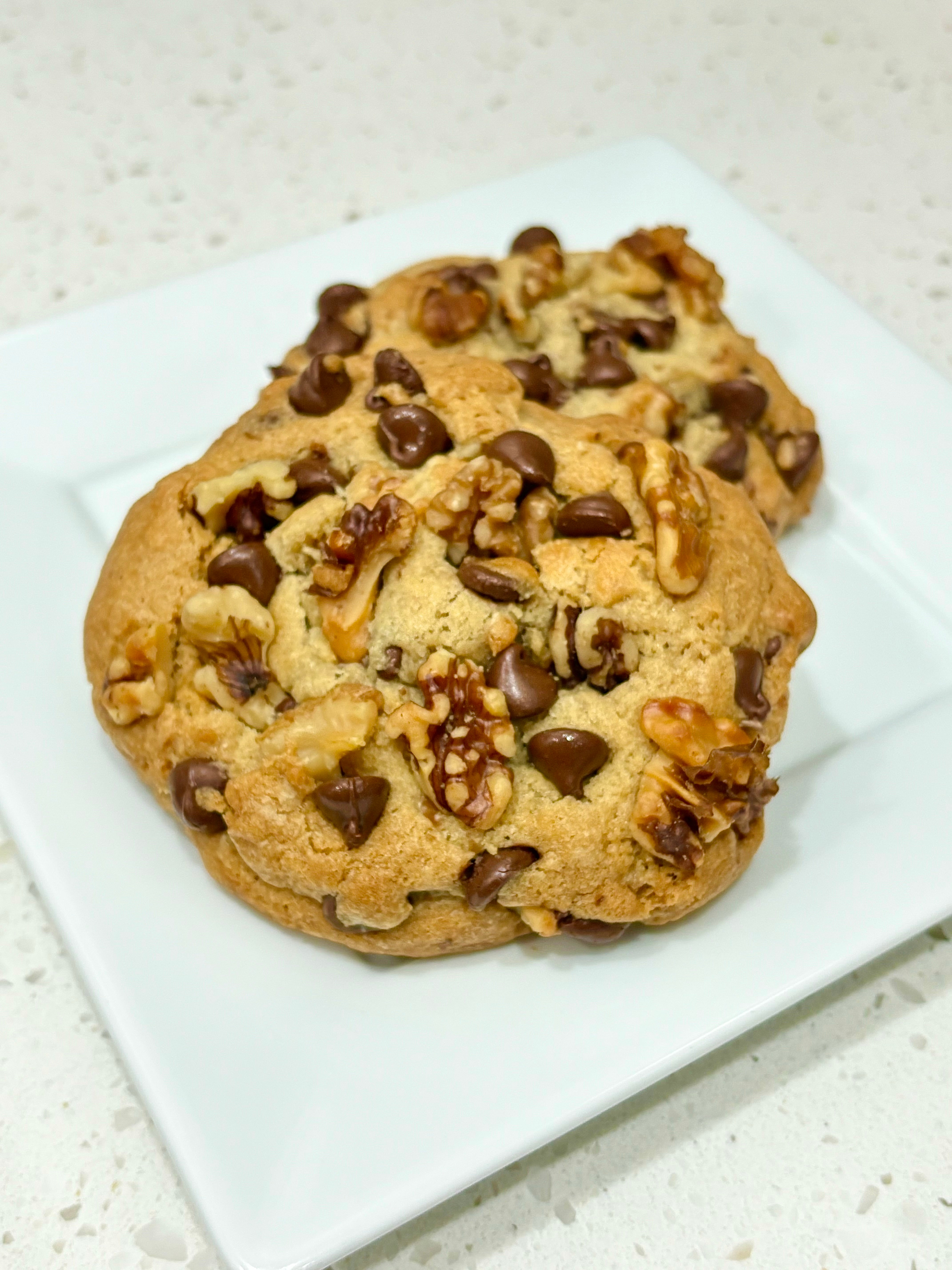 Walnut Chocolate Chip Cookie